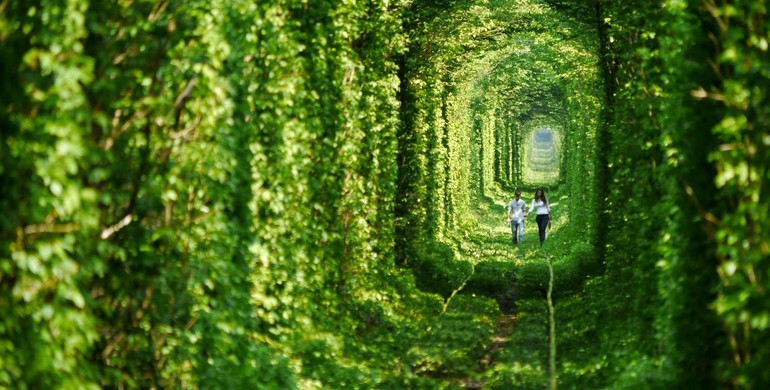 Легендарний "Тунель кохання" за державні гроші прикрашають бруківкою та альтанками